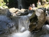 les-waterfall26.jpg