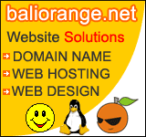 Hosting Indonesia dan Domain Name Registration