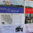 Maen ke Pulau Nusa Penida di Bali, sepertinya kurang sip kalo belum mampir di tempat satu ini. FNPF (Friends of […]